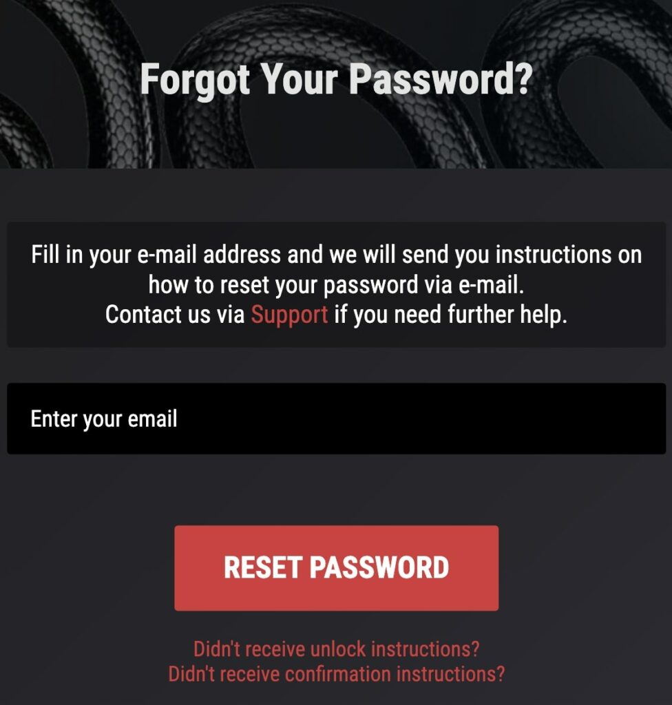 Cobra Casino Password Recovery Process